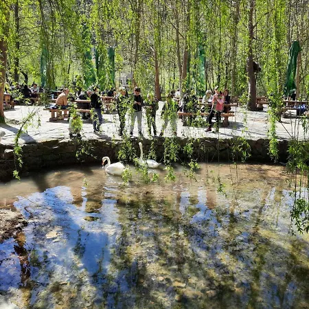 Apartament Toni-2 By Interhome *